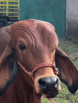 x47zmk86jn.webm