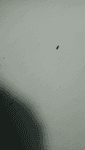 3t03s8ul2qg.mp4