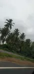 IMG_20251021_160206_1.jpg