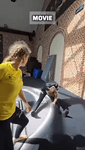 vid.webm