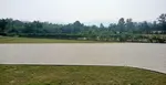 djmcj0n804r.jpg