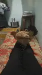 y7s5sfp1wu.jpg