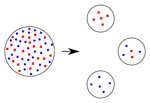 Founder_effect.svg.png