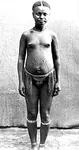 Great_Andamanese_scarification_pattern_-_1901.jpg