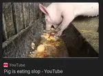 l56d6zhxge.jpg
