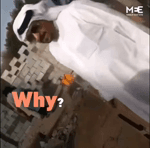 rwrfo2omf9e.webm
