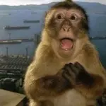 7baybmpf0a7.jpeg 7baybmpf0a7.jpeg