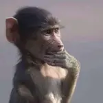 IMG_3341.jpeg IMG_3341.jpeg