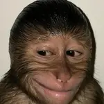 ubn0tazpql.jpeg ubn0tazpql.jpeg