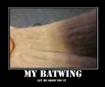 bat wing.jpg