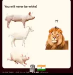 l2tje3qxe8h.jpg l2tje3qxe8h.jpg