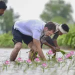 36my5yfpesi.webp 36my5yfpesi.webp