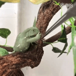 u6uwtwulux8.webm u6uwtwulux8.webm