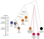 bzkdwqu4sgo.jpeg bzkdwqu4sgo.jpeg