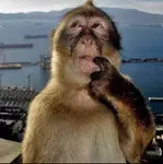 znz7t6shw5.jpeg znz7t6shw5.jpeg