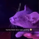 z22b7qe588n.jpeg z22b7qe588n.jpeg