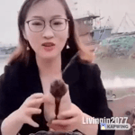 1766040887993021.webm 1766040887993021.webm