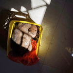 VID_20251127_122657.mp4