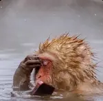 mom1k7ntbs.jpg mom1k7ntbs.jpg