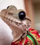 ajsmmtephou.png ajsmmtephou.png