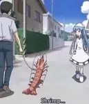 g4lj33yh48.jpeg g4lj33yh48.jpeg