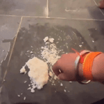 i3hrzleey2p.mp4 i3hrzleey2p.mp4