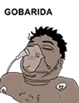 gobarida.png
