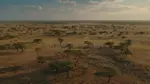 aerial-view-african-savanna-golden-hour-expansive-captures-light-sunset-bathing-.jpg