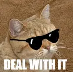 35586168.jpg 35586168.jpg