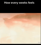 1771695433524083.webm