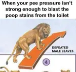 1732555664633280.jpg 1732555664633280.jpg