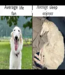 ds7wjd4bbtw.jpg ds7wjd4bbtw.jpg