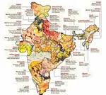 Indian_Foods.jpg