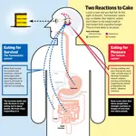 Reactions_to_Food.gif