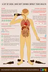 Soft_Drinks_&_Your_Health.png