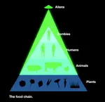 The_Food_Chain.jpg
