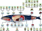 Whale_Parts.jpg