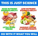 2499133_5JDrokURSkixb9YZlXBj_insta_posta_science.jpg