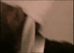 1754098425568965.mp4