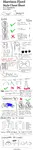 Style_Cheatsheet.jpg