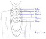 necklacelengthdiagram.png