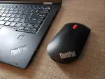 mouse.jpg