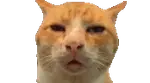 y1l3kgvqf37.gif
