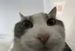 btcdoo7mokg.jpg