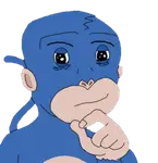 11.png