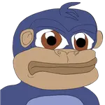 20.png
