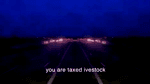 j1lhyo6lle.webm