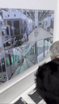 s1.mp4