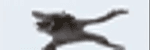 4w029n66tlm.webm