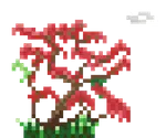 palash_tree32.gif